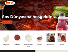 Tablet Screenshot of nesos.com.tr